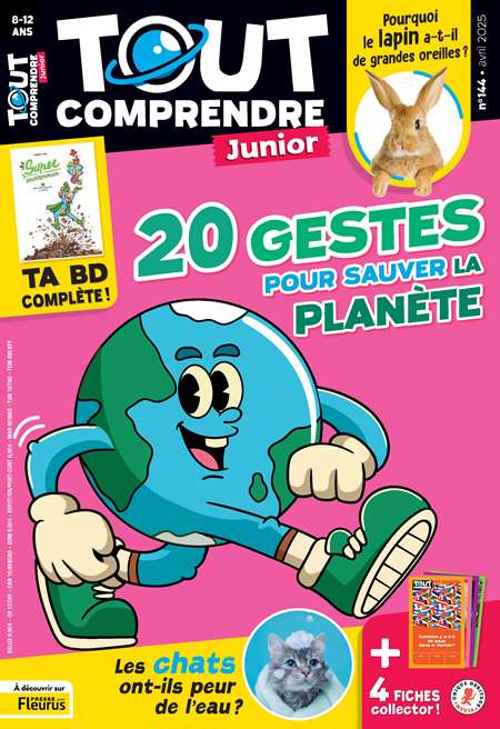 TOUT COMPRENDRE JUNIOR